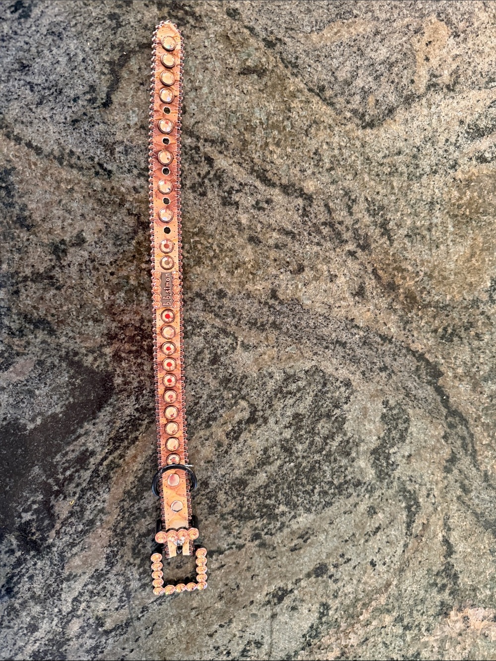 b.b.Simon Studded Leather Fashion dog collar with Crystal Buckle.